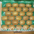 Exported Quality Chinese Fresh Green Kiwi Fruit